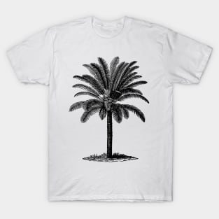 Vintage Palm Tree T-Shirt